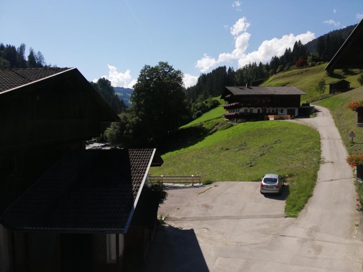 Appartements Zellner Alpbach Exteriér fotografie